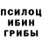 Псилоцибиновые грибы ЛСД Jonathan Lachica