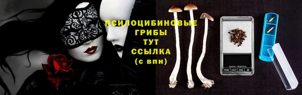 трава Балахна