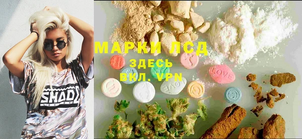 шишки Баксан