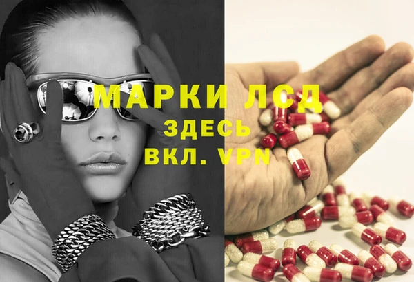 шишки Баксан