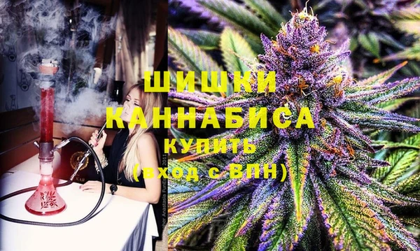 шишки Баксан