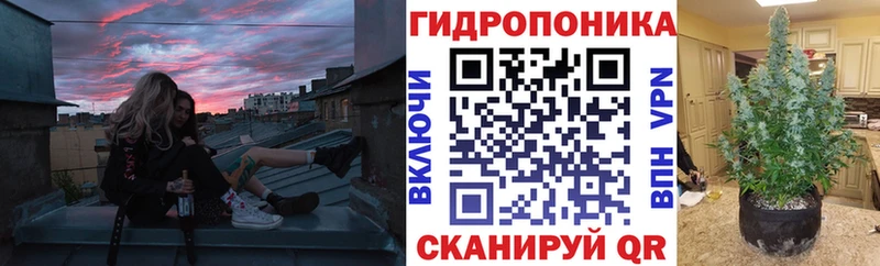 кракен онион  как найти закладки  Городец  Бошки Шишки сатива 